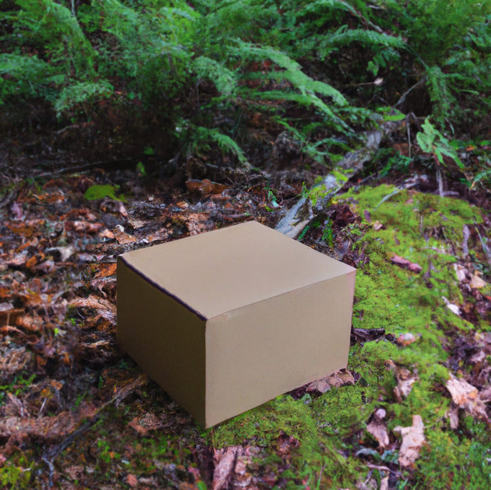 A brown cardboard box sits on a mossy forest floor 