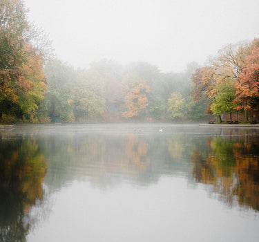 A pond at dawn in autumn, with mist on the shore and the trees turning orange and red