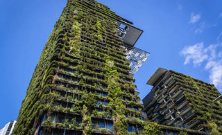 an existing australian skyscraper decorated with lucious green vines.