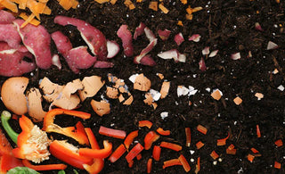 Electric Composting: Hot or Not?