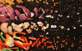 dramatisation of a time sequence of food leftovers in the process of compost from left to right.