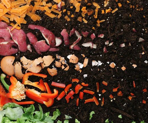 dramatisation of a time sequence of food leftovers in the process of compost from left to right.