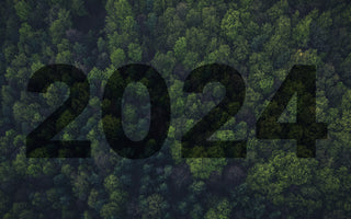 Anticipated Trends in Eco-Fashion for 2024