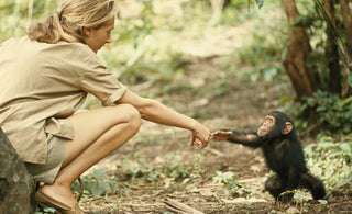 Inspiration: Trailblazer Jane Goodall