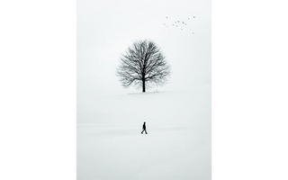 A man, alone in a plain field full of snow walking from left to right and aligned with him appears a leafless tree.