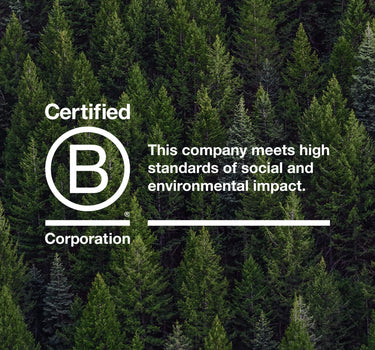 The B Corp certified logo superimposed over an aerial view of a pine forest 