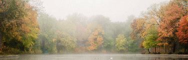 A pond at dawn in autumn, with mist on the shore and the trees turning orange and red