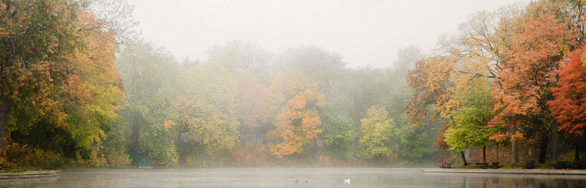 Fall B The Cozy Fall Collection | BEDI Studios - Made in Canada