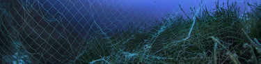 A fishnet tangled in weeds and coral on the ocean floor