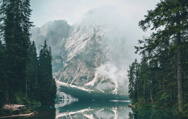 Mountain landscape with a lake and trees on a foggy day